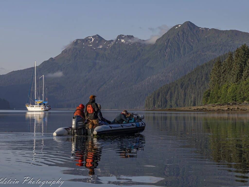 Island Roamer, Alaska, Photographed by Paul Goldstein