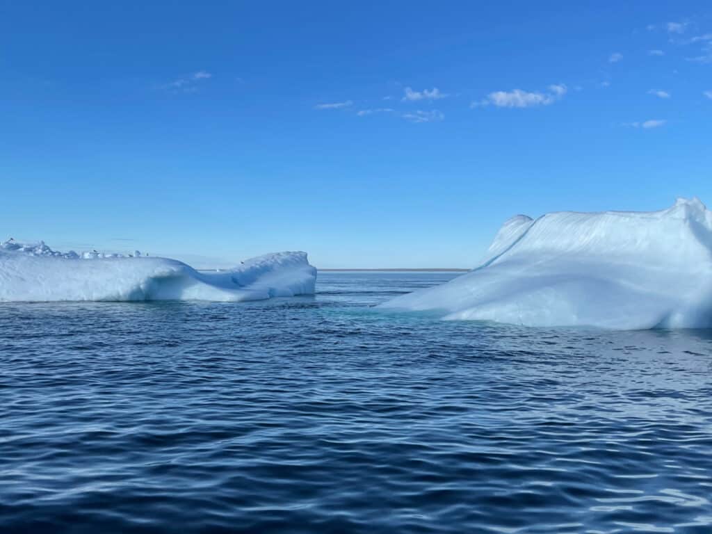 Ungava Ice Floe, Nunavik, Canada