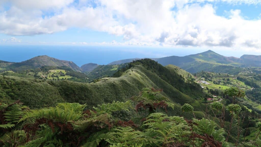 Diana's Peak, Saint Helena