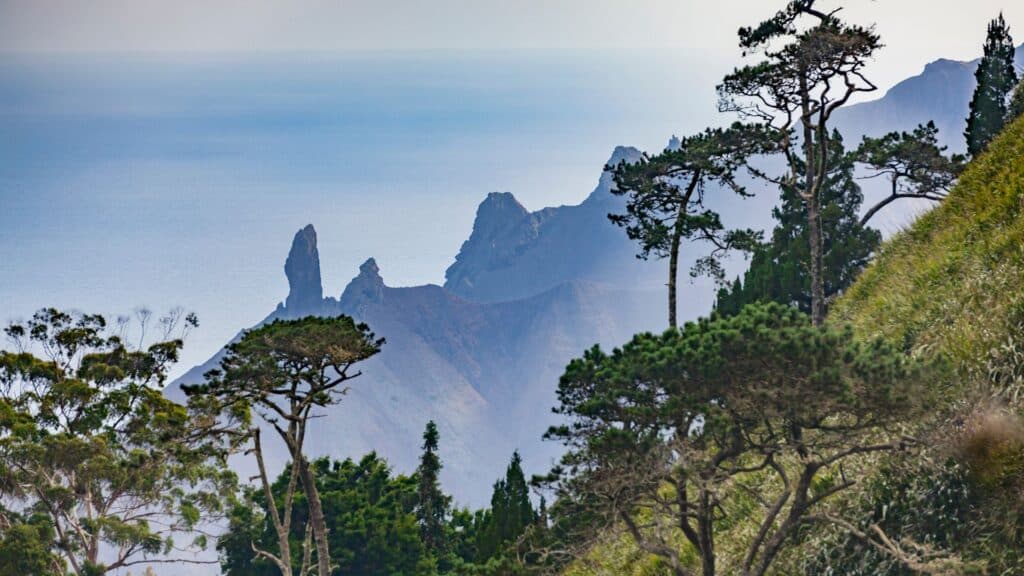 Lot's Wife, Saint Helena