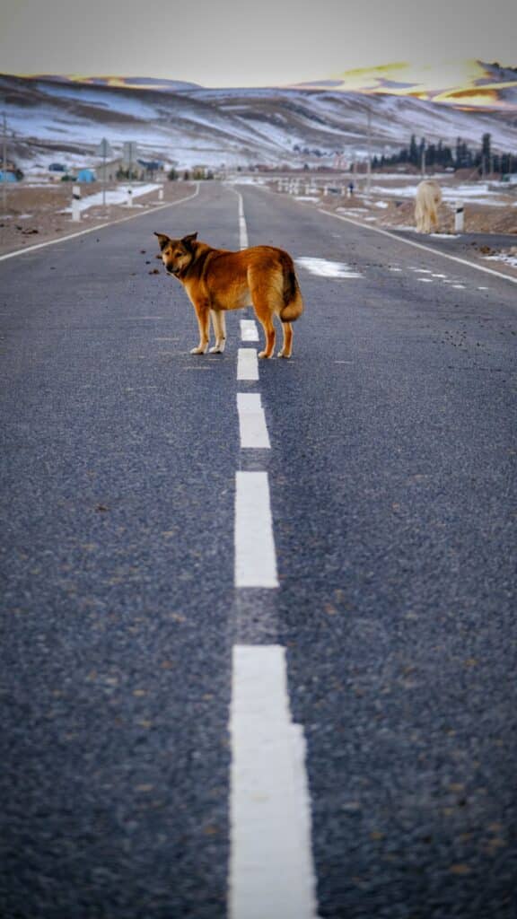 Karkara Yurt Camp, Kyrgyzstan