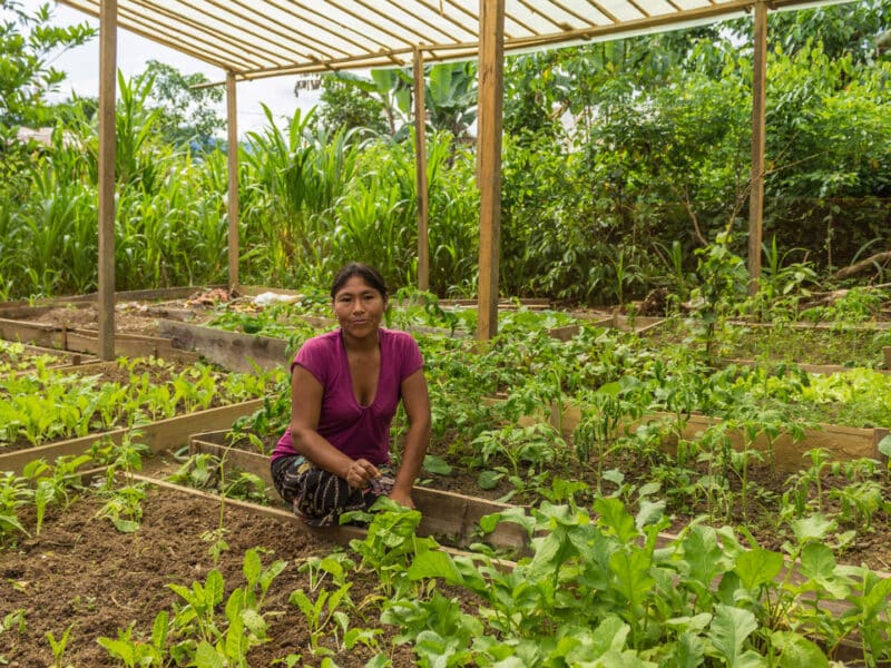 Bio garden, Manu Learning Centre, Manu, Amazon, Peru
