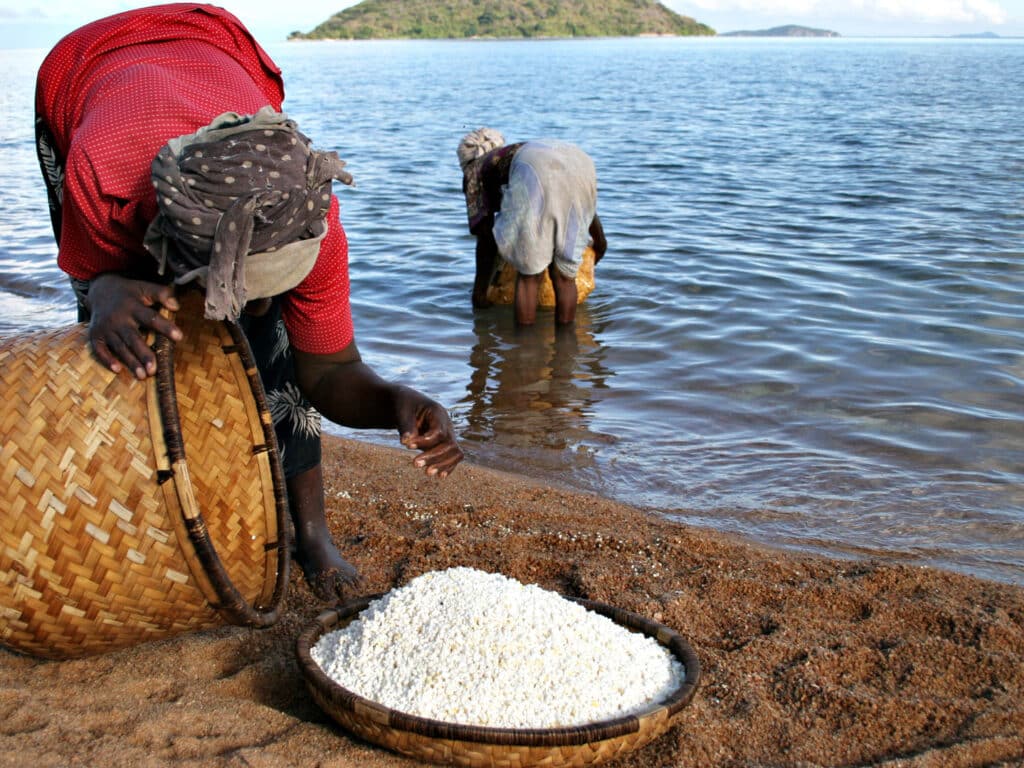 Women working on beach, Lake Malawi, Malawi