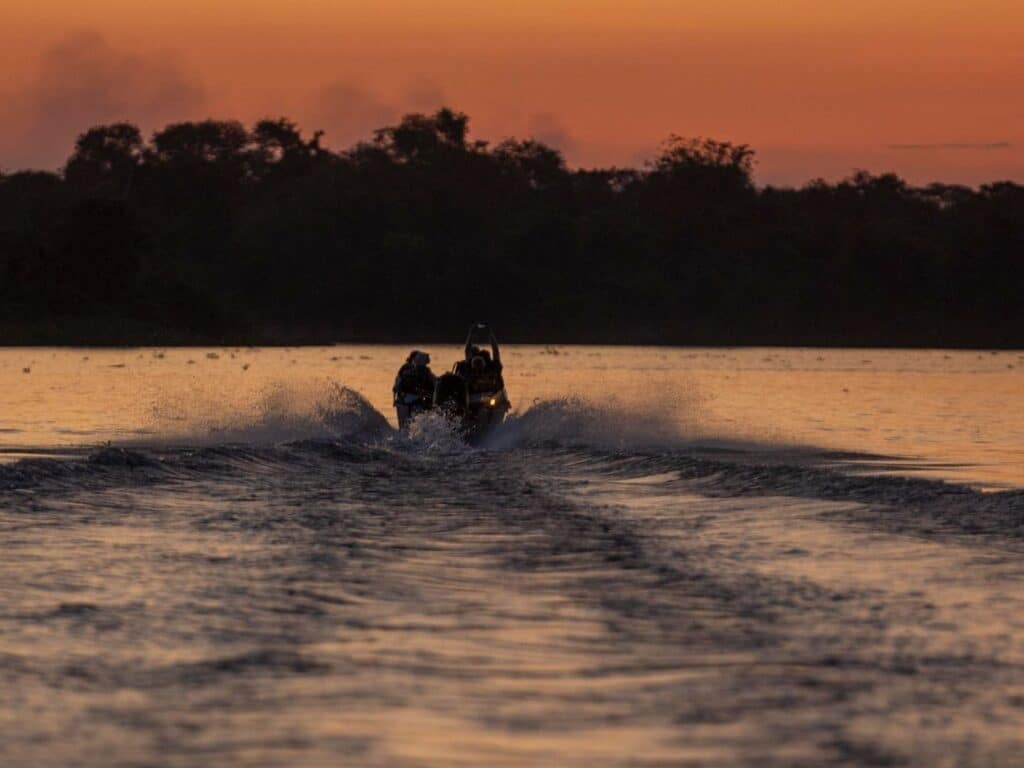 River safari at sunset, Pantanal, Brazil, by Paul Goldstein