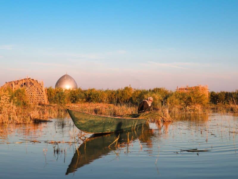 Mesopotamian marshes, Iraq