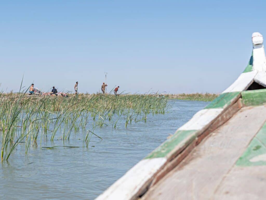 Mesopotamian marshes, Iraq