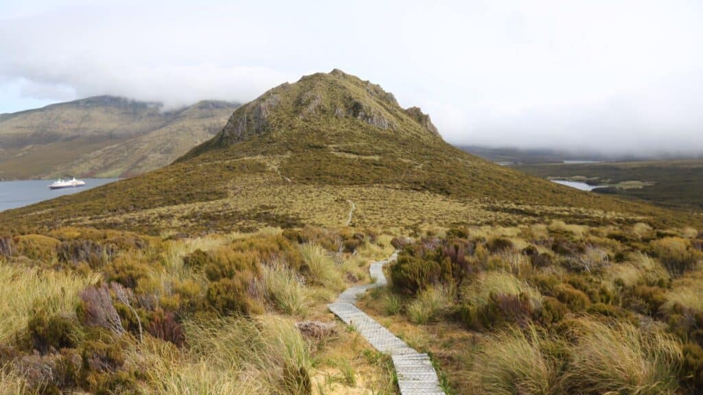 Campbell Island in Subantarctic New Zealand