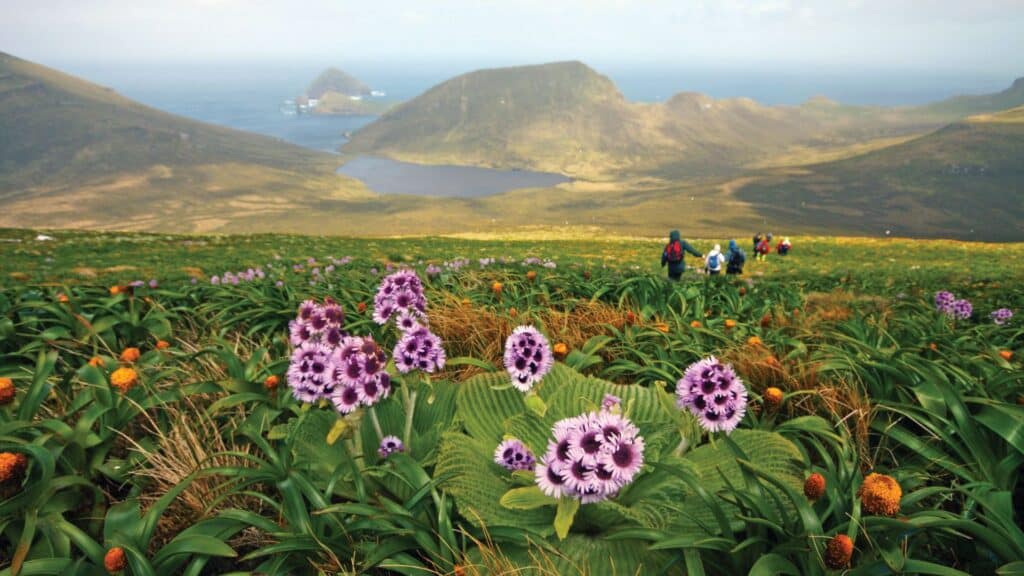 Mount Honesy on Campbell Island