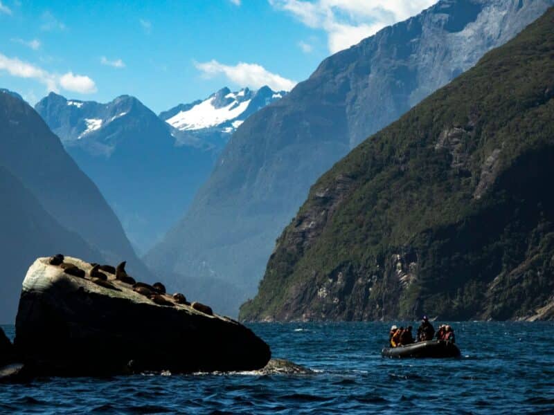 Zodiac expedition in fiord, Heritage Expeditions, Fiordland, New Zealand