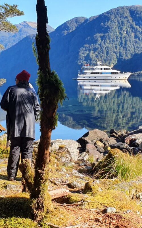 Heritage Explorer viewed through trees, Heritage Expeditions, Fiordland, New Zealand