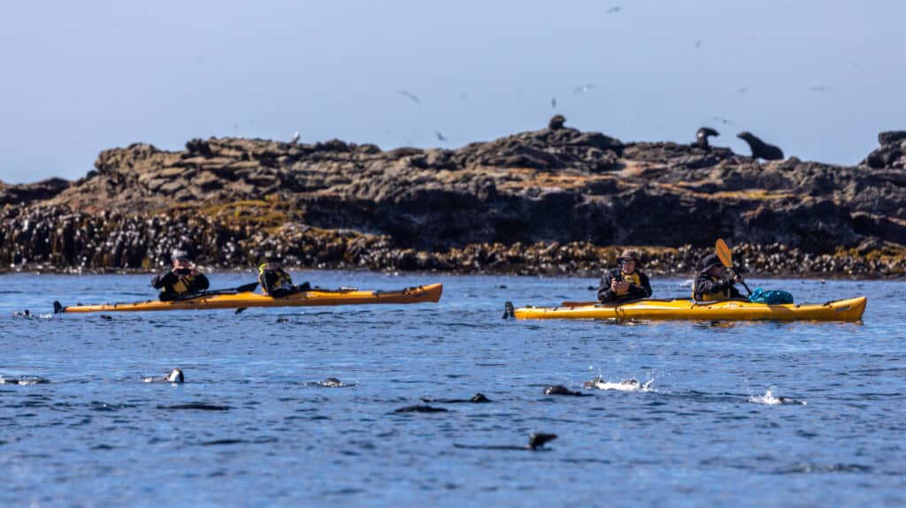 Kayaking through the Snares