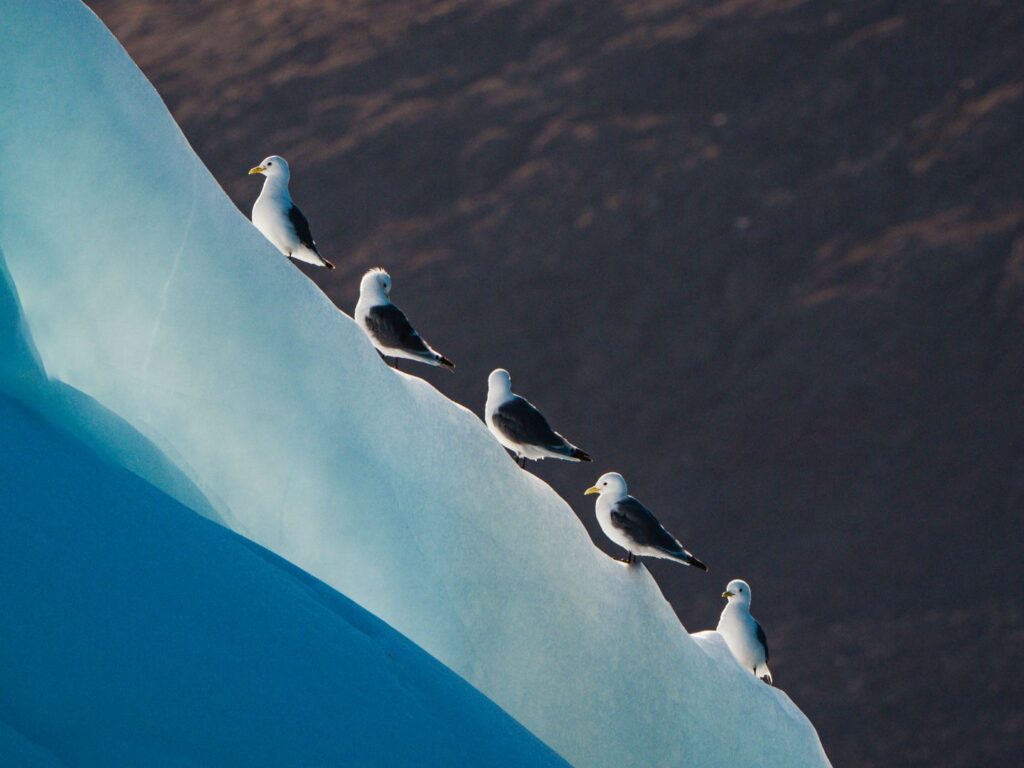 Northwest Passage, Canada, Photographed by Saunders Carmichael-Brown