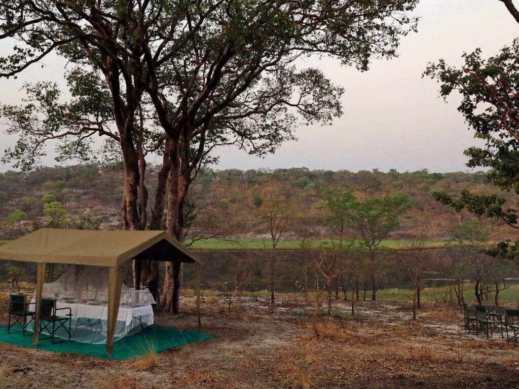 Natural Selection Accommodation, Angola