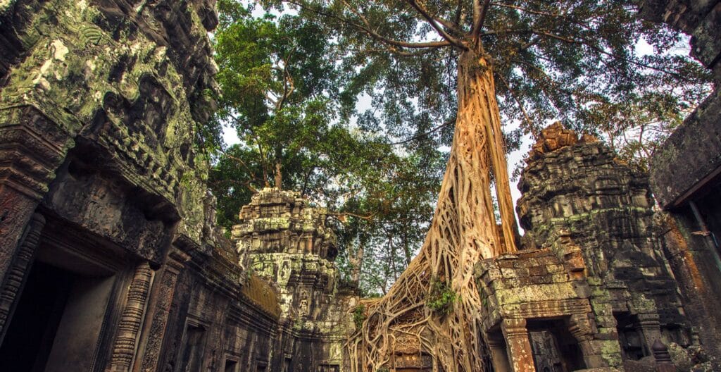 Ta Prohm in Cambodia
