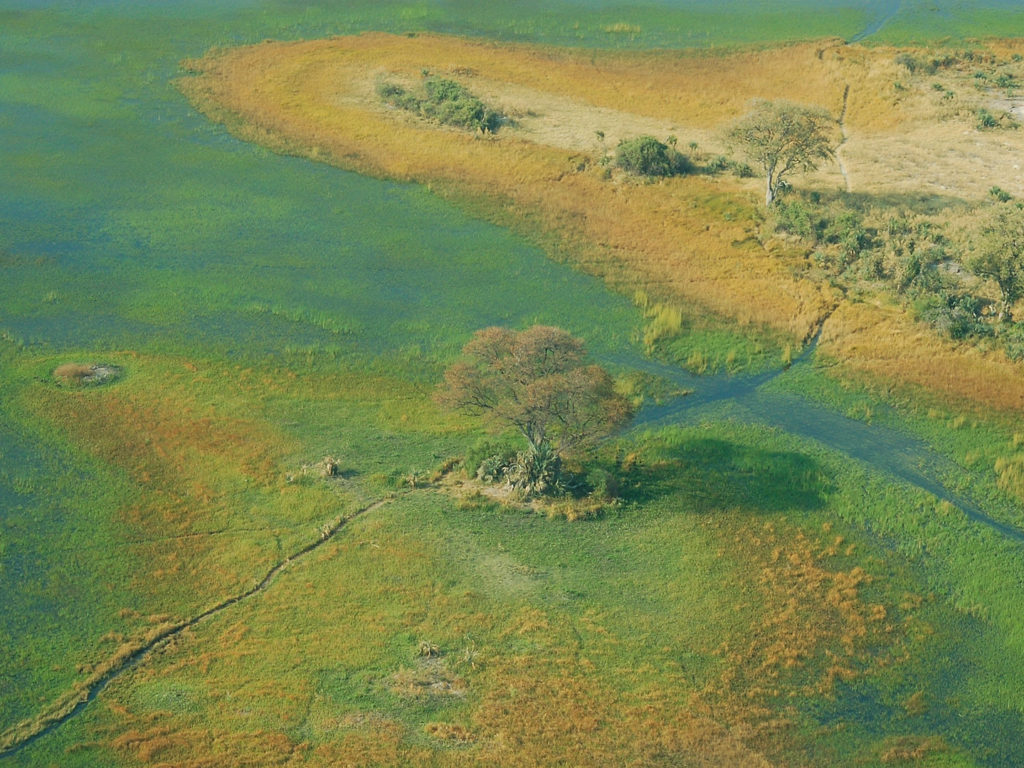 Aerial View, Okavango Delta, Botswana