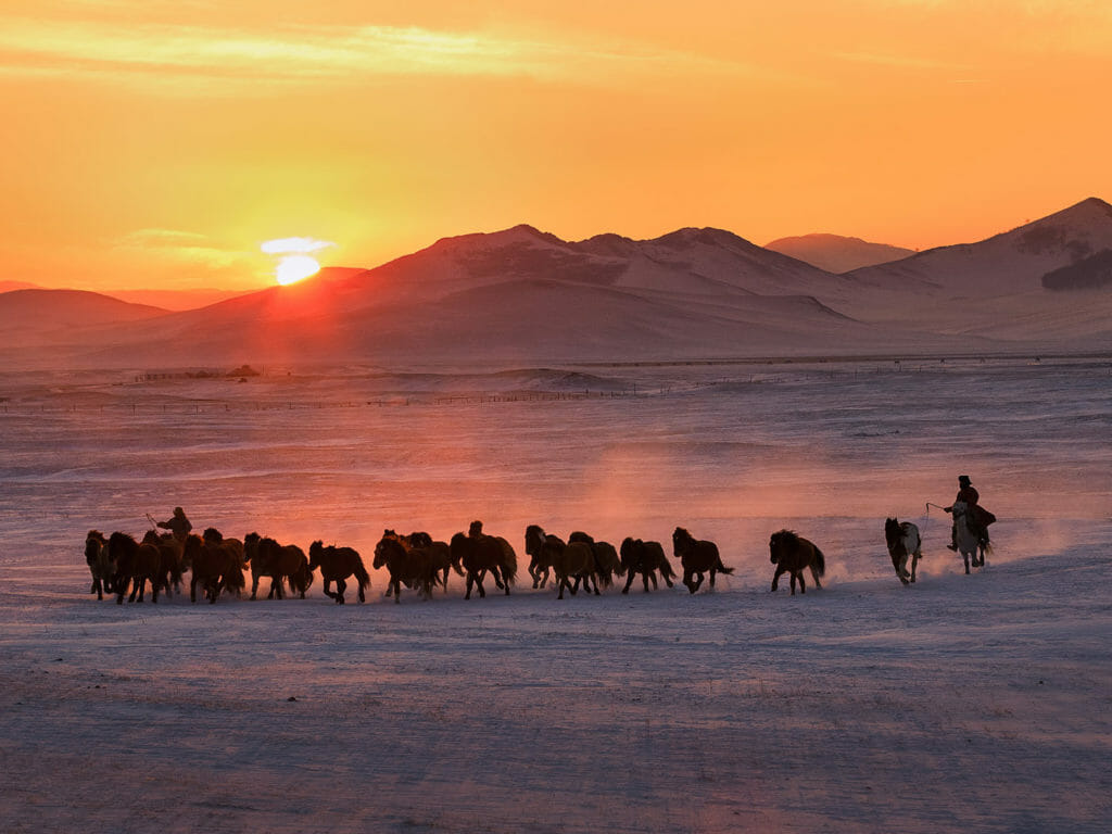 Horses running on snow field in Inner Mongolia