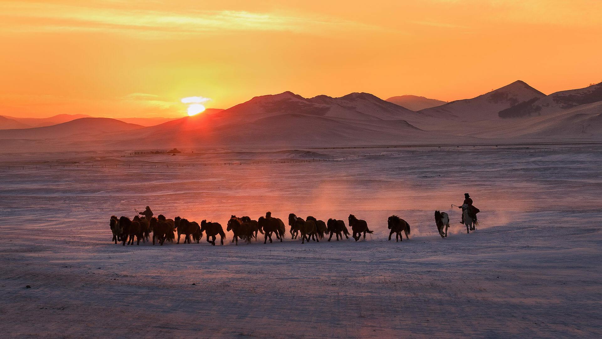 mongolia best time to travel