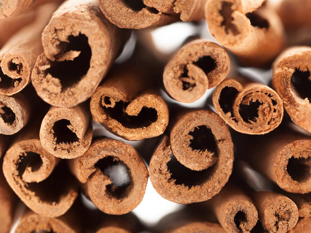 Cross section view of Raw Organic Cinnamon sticks, Sri Lanka