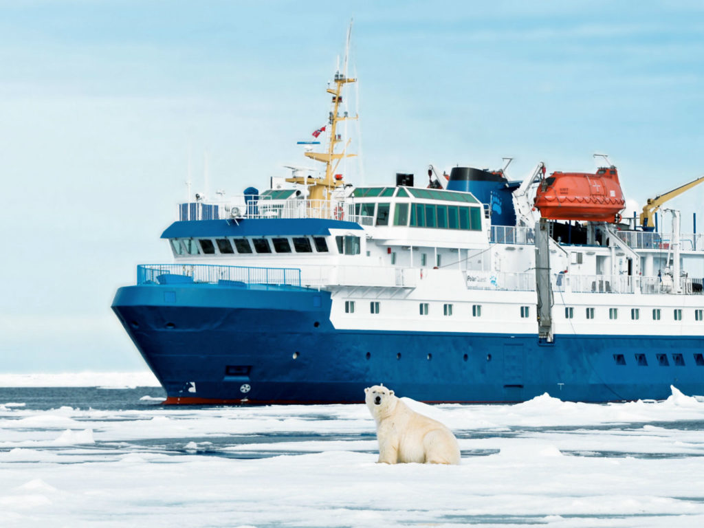 Polar Bear, MS Quest, Spitsbergen