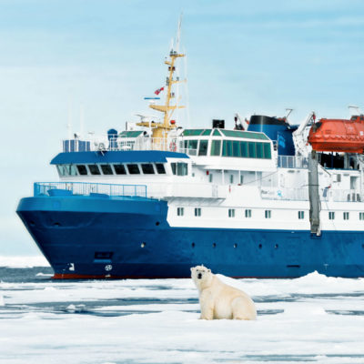 Polar Bear, MS Quest, Spitsbergen