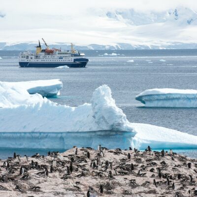 Ocean Nova, Antarctica, A21