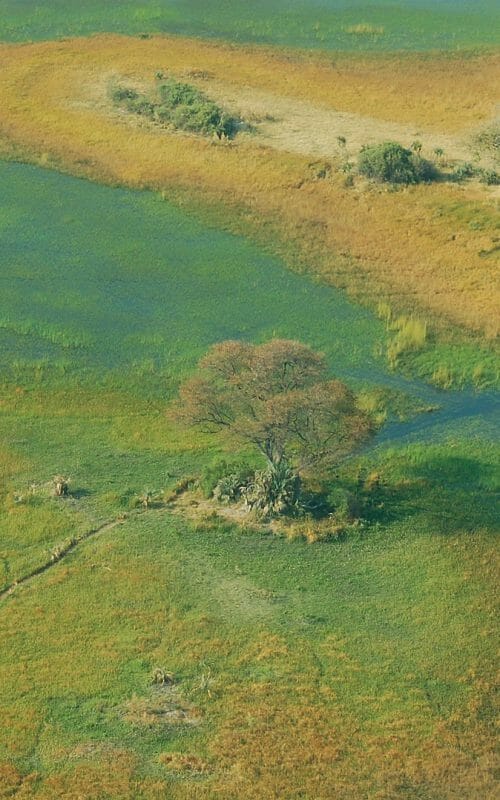 Aerial View, Okavango Delta, Botswana
