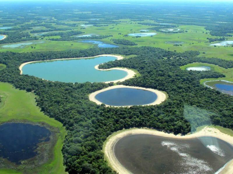 Aerial View of the Pantanal, Brazil