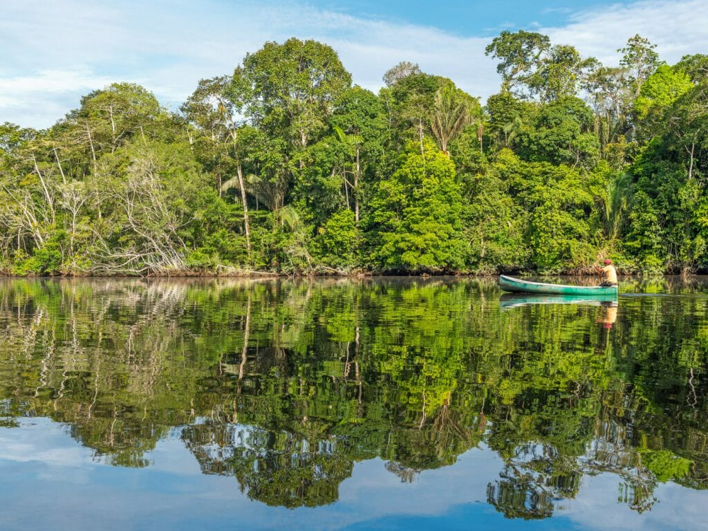 Canoe, Rainforest, Guyana