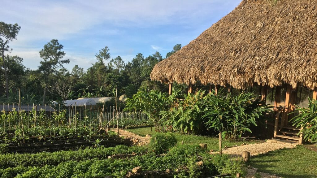 Blancaneaux Lodge, Mountain Pine Ridge, Belize