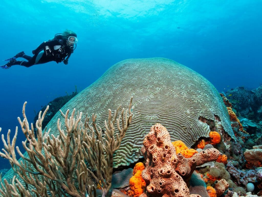 Diving, Trinidad and Tobago