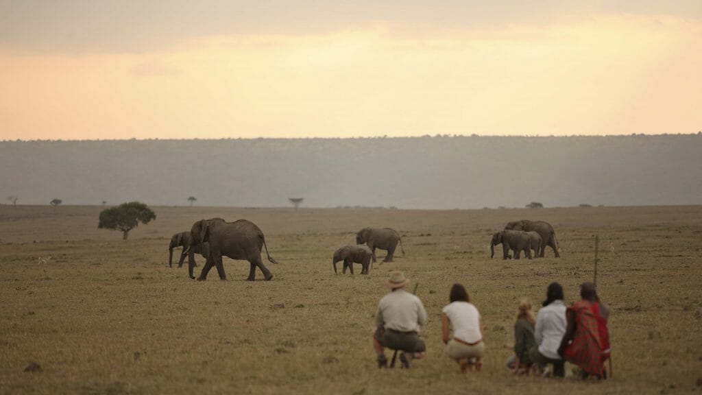 Bush walk, Elephant Pepper Camp, Masai Mara