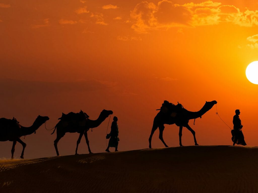 Camel Caravan, Wahiba Sands, Oman