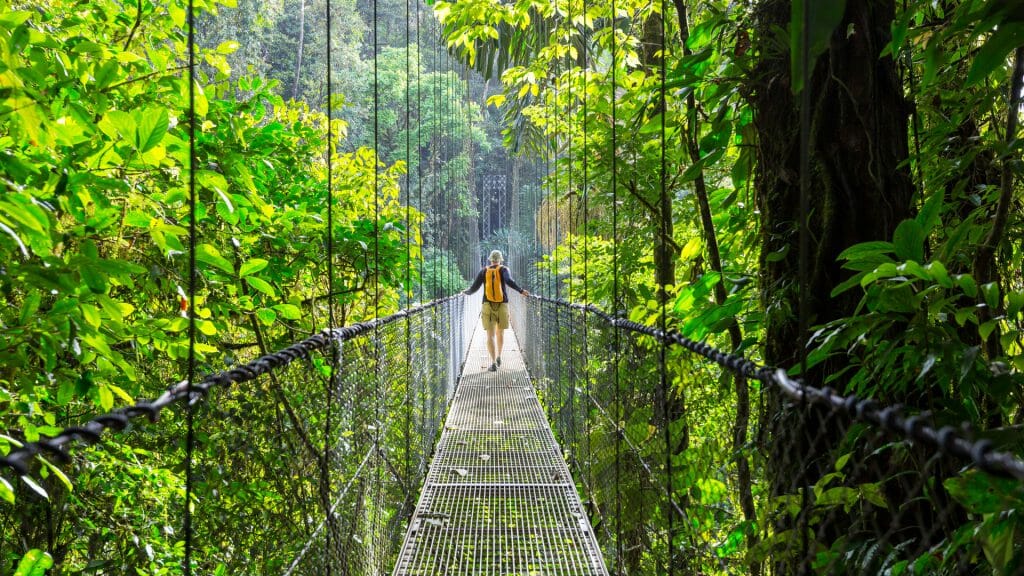 Canopy Walk, Arenal, Costa Rica