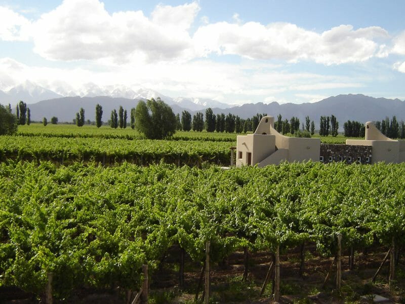 Cavas Wine Lodge, Mendoza, Argentina