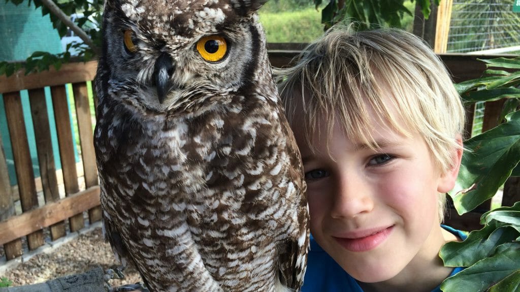 Child with owl, South Africa