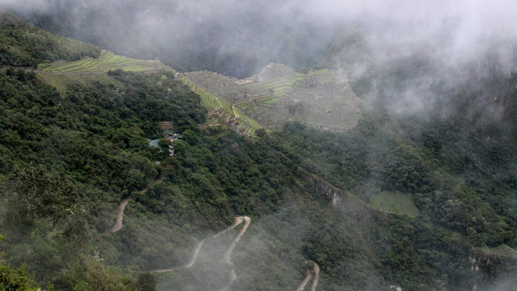 Cloud Forest, Andes Mountains, Peru