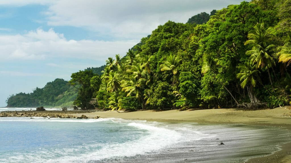Corcovado National Park, Osa Peninsula, Costa Rica