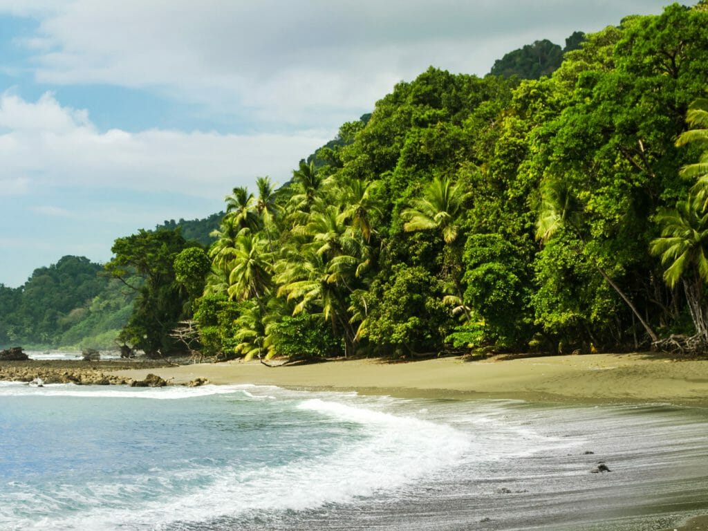 Corcovado National Park, Osa Peninsula, Costa Rica