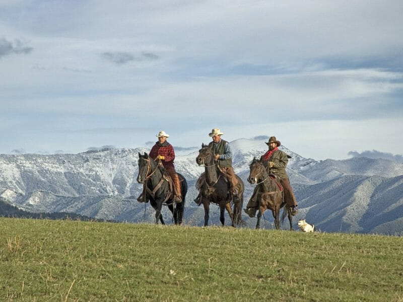 Cowboys, Montana, USA