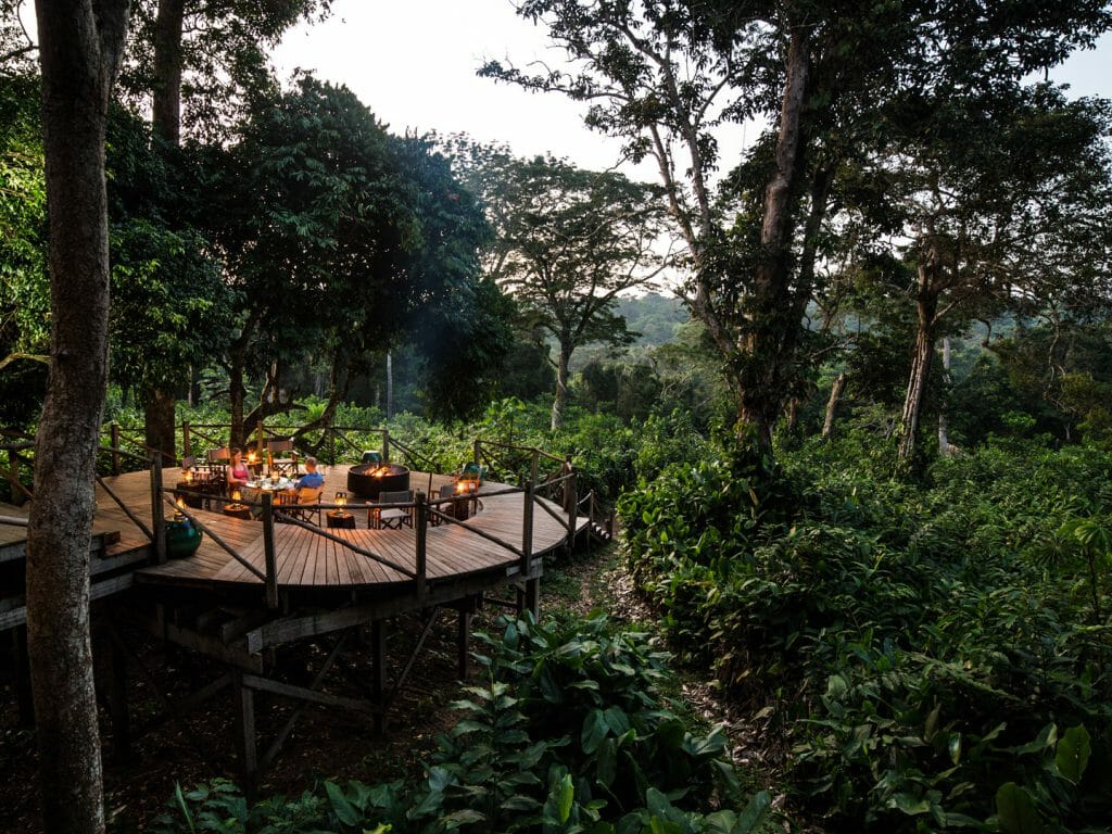Deck in the trees, Ngaga Camp, Odzala National Park