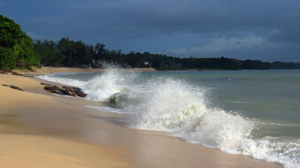 Beach withcrashing waves backed by rainforest