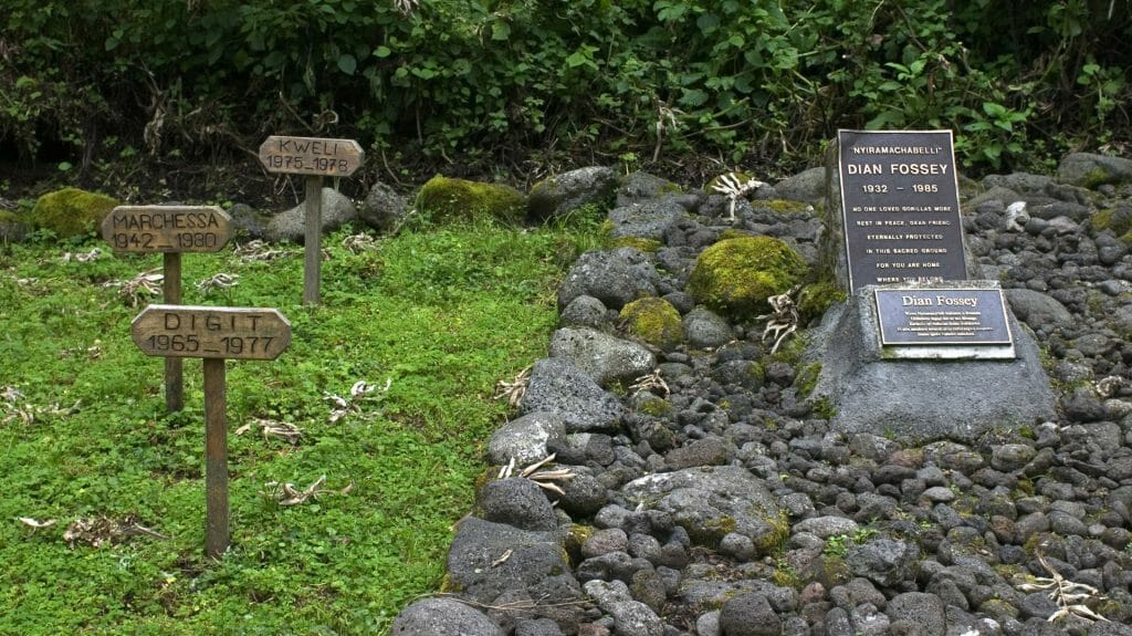 Dian Fossey's Grave, Rwanda