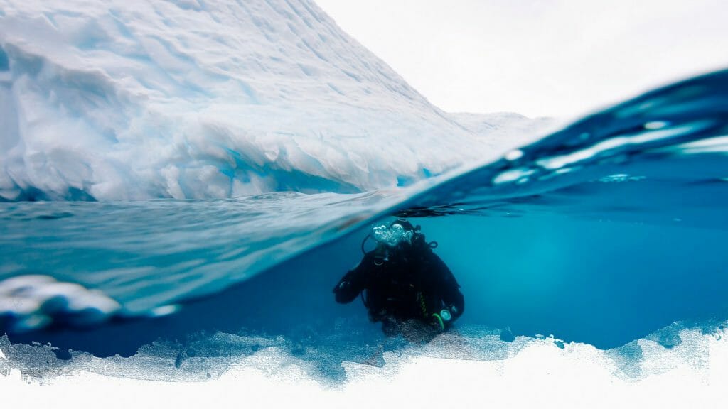 Diver, Antarctica