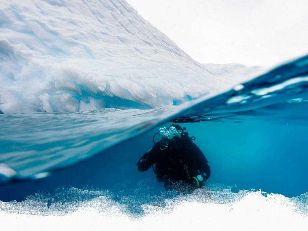 Diver, Antarctica
