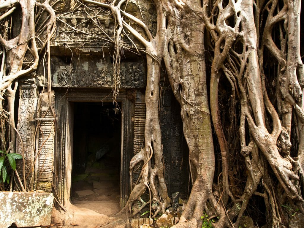 Doorway, Angkor Wat, Cambodia