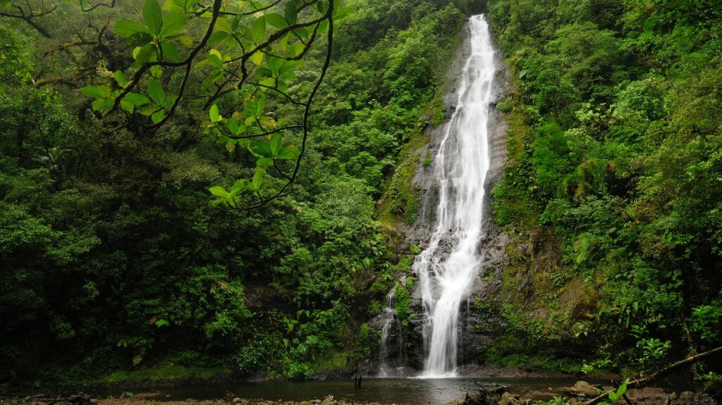 El Silencio Lodge & Spa, Waterfall, Bajos del Toro, Costa Rica