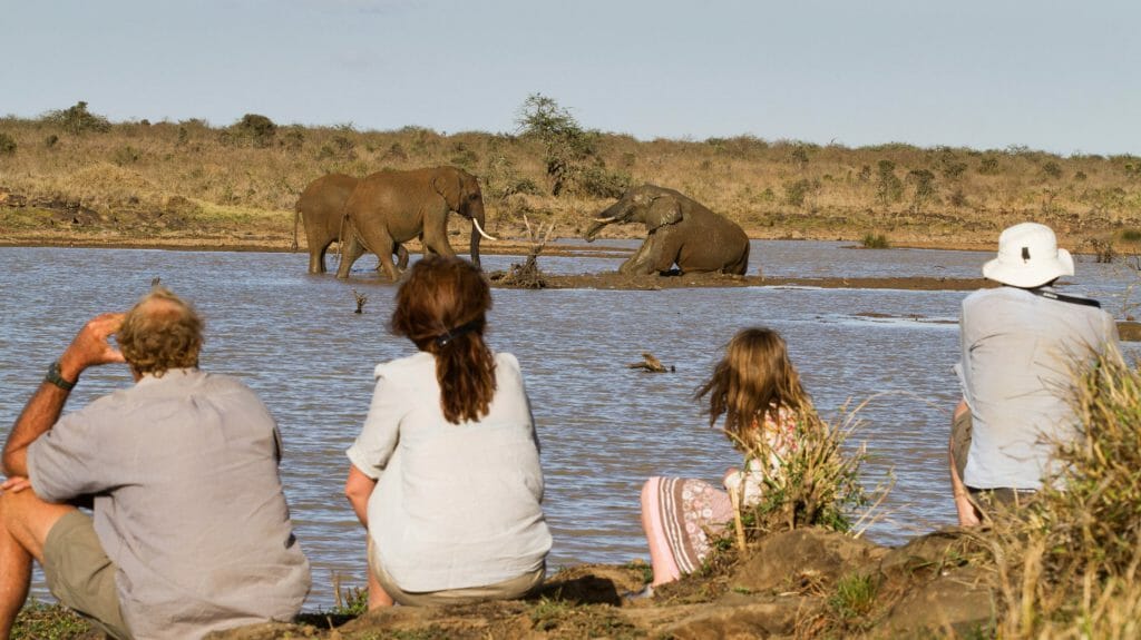 Elephants, Ekorian's Mugie Camp, Laikipia