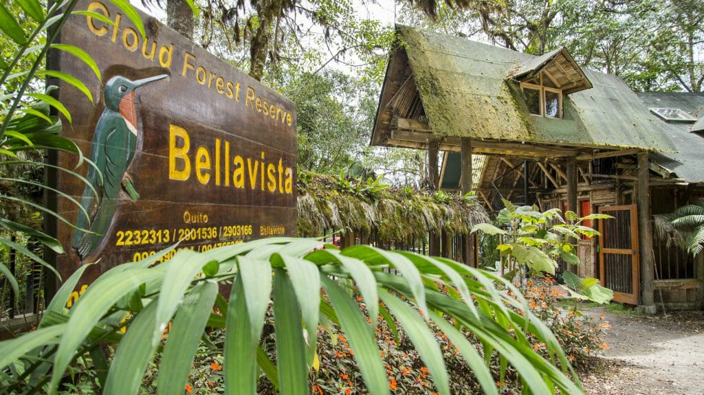 Bellavista Cloud Forest Lodge, Cloud Forest, Ecuador