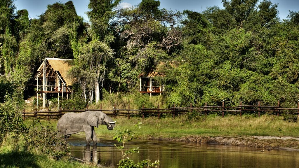 Savute Safari Lodge, Savuti, Botswana