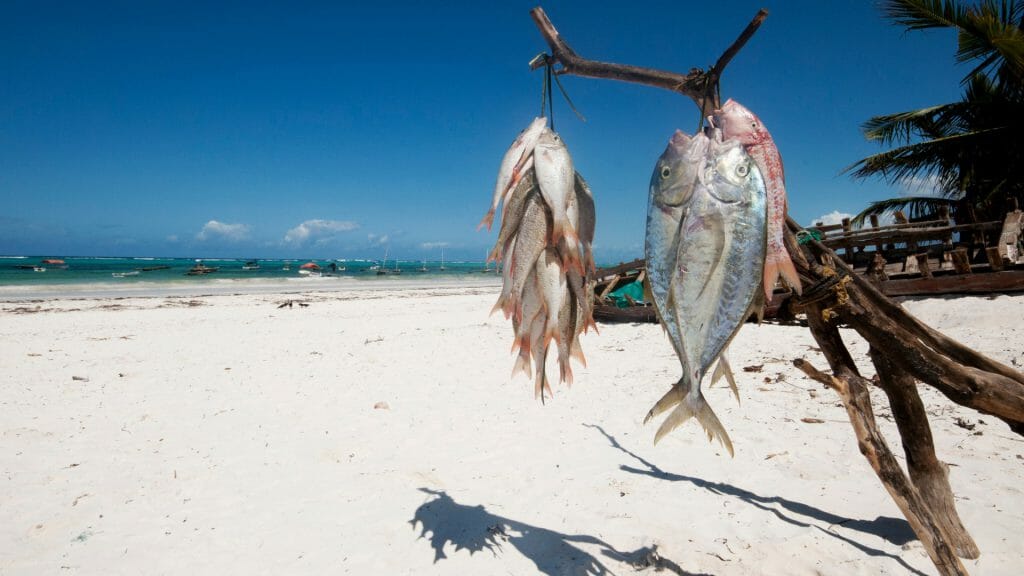 Fish market on the beach - Zanzibar